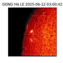 gong - 2025-06-12T03:00:42