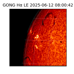 gong - 2025-06-12T08:00:42