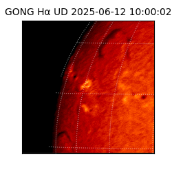 gong - 2025-06-12T10:00:02