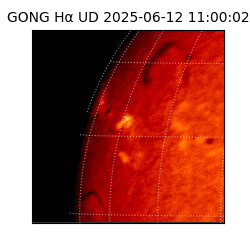 gong - 2025-06-12T11:00:02