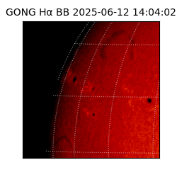gong - 2025-06-12T14:04:02