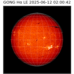 gong - 2025-06-12T02:00:42