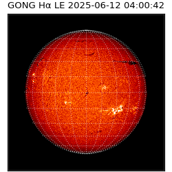 gong - 2025-06-12T04:00:42