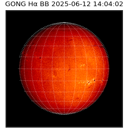 gong - 2025-06-12T14:04:02