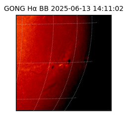 gong - 2025-06-13T14:11:02