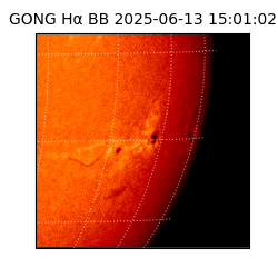 gong - 2025-06-13T15:01:02