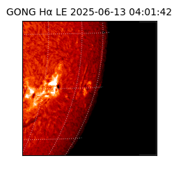 gong - 2025-06-13T04:01:42