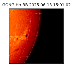 gong - 2025-06-13T15:01:02