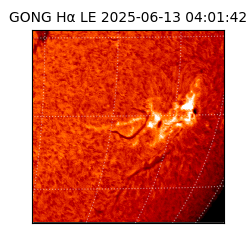 gong - 2025-06-13T04:01:42