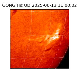 gong - 2025-06-13T11:00:02