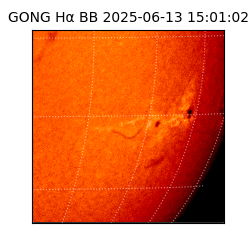 gong - 2025-06-13T15:01:02