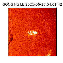 gong - 2025-06-13T04:01:42