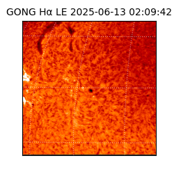 gong - 2025-06-13T02:09:42