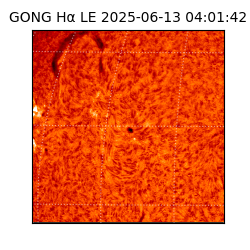 gong - 2025-06-13T04:01:42