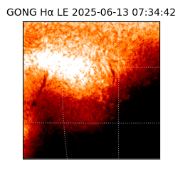 gong - 2025-06-13T07:34:42