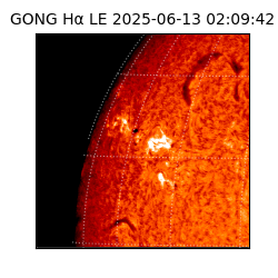 gong - 2025-06-13T02:09:42