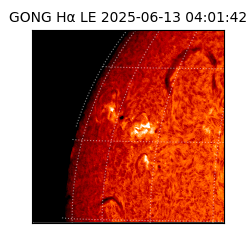 gong - 2025-06-13T04:01:42