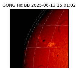 gong - 2025-06-13T15:01:02