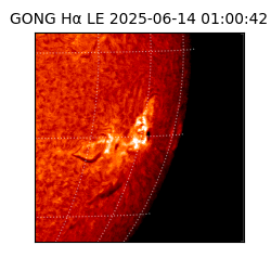 gong - 2025-06-14T01:00:42