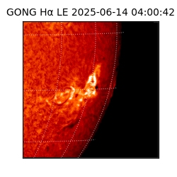 gong - 2025-06-14T04:00:42