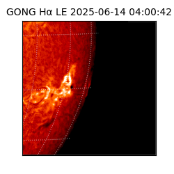 gong - 2025-06-14T04:00:42