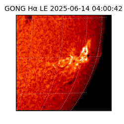 gong - 2025-06-14T04:00:42