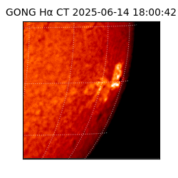gong - 2025-06-14T18:00:42