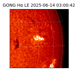 gong - 2025-06-14T03:00:42