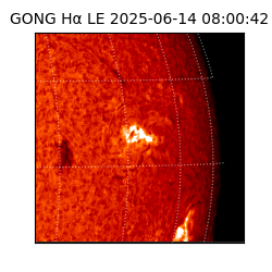 gong - 2025-06-14T08:00:42
