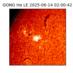 gong - 2025-06-14T02:00:42