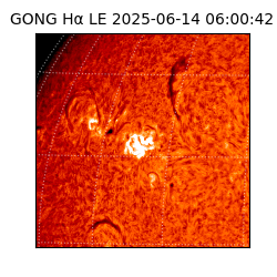 gong - 2025-06-14T06:00:42