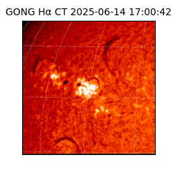 gong - 2025-06-14T17:00:42