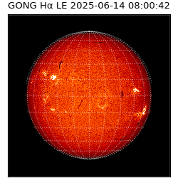 gong - 2025-06-14T08:00:42