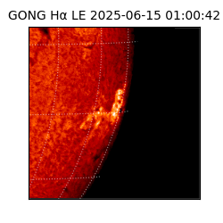 gong - 2025-06-15T01:00:42