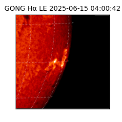 gong - 2025-06-15T04:00:42