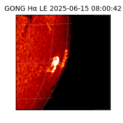 gong - 2025-06-15T08:00:42