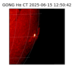 gong - 2025-06-15T12:50:42