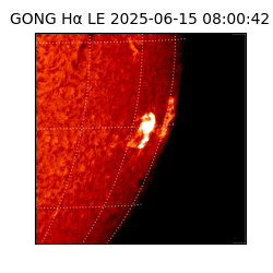 gong - 2025-06-15T08:00:42