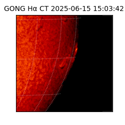 gong - 2025-06-15T15:03:42