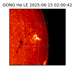 gong - 2025-06-15T02:00:42