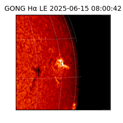 gong - 2025-06-15T08:00:42