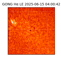 gong - 2025-06-15T04:00:42