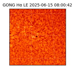 gong - 2025-06-15T08:00:42