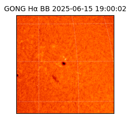 gong - 2025-06-15T19:00:02