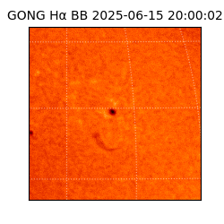 gong - 2025-06-15T20:00:02