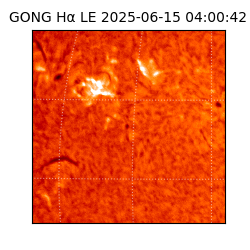 gong - 2025-06-15T04:00:42