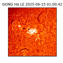 gong - 2025-06-15T01:00:42