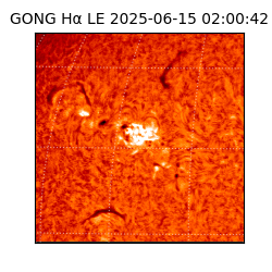 gong - 2025-06-15T02:00:42