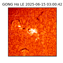 gong - 2025-06-15T03:00:42