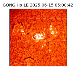 gong - 2025-06-15T05:00:42